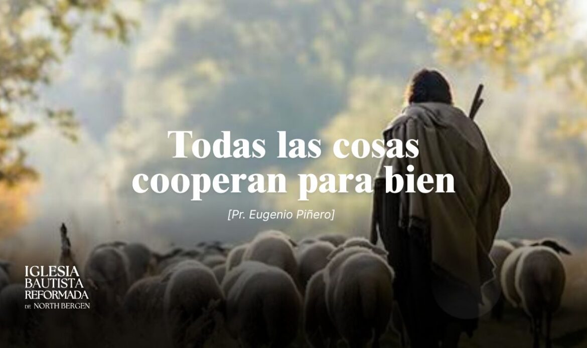 Todas las cosas cooperan para bien