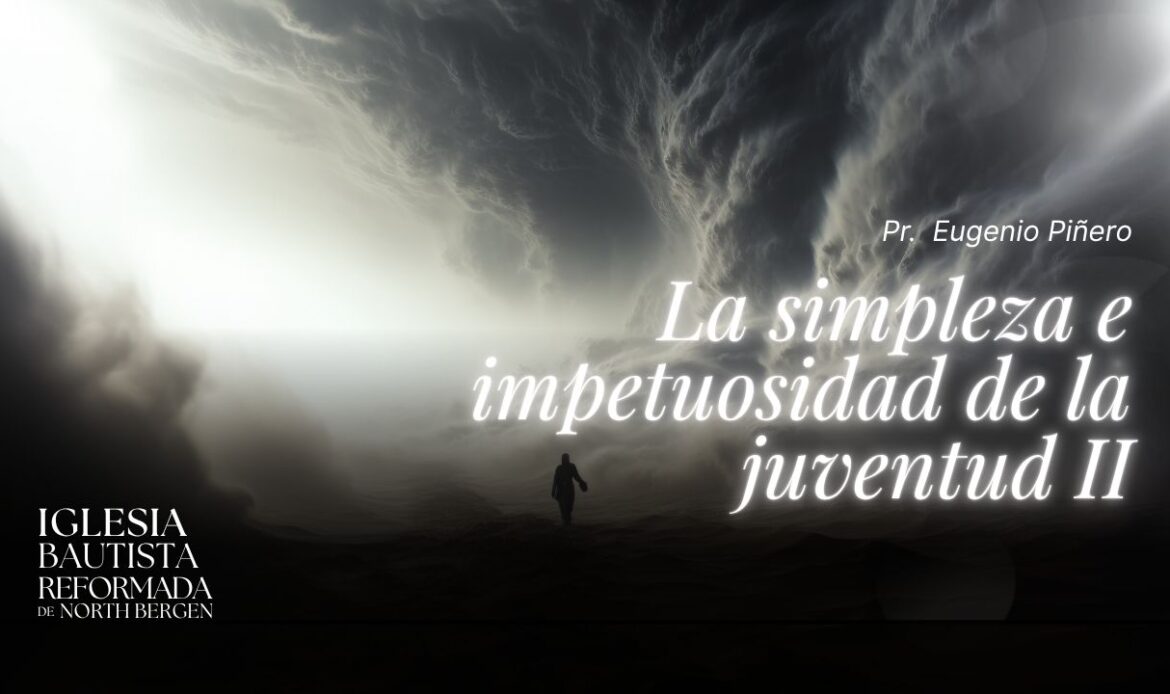 La simpleza e impetuosidad de la juventud II