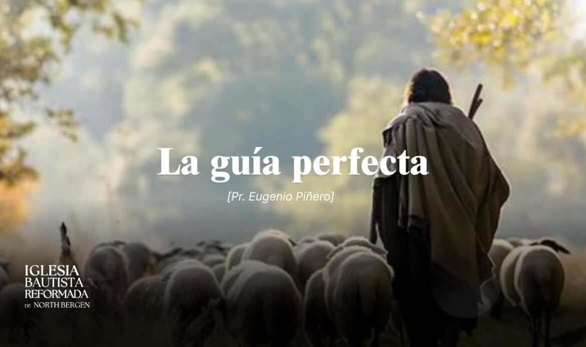 La guía perfecta